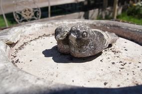 Stone Statue, Birds in fountain