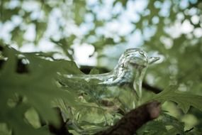 transparent bird on a tree branch