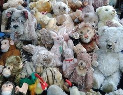 Lots of Stuffed toys
