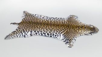 leopard carpet on the ground