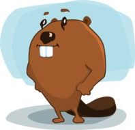 Clipart,picture of brown beaver with big teeth