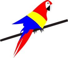 drawing of a tropical parrot