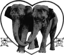 Elephants Heart Lovers drawing