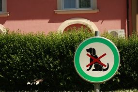 dogs prohibited sign at hedge