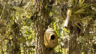 yellow house for the birds on the tree