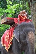 asian person Riding elephant