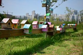 Picture of colorful Bird Cages