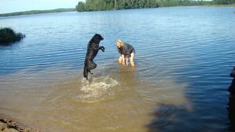 dog and girl fooling around in water