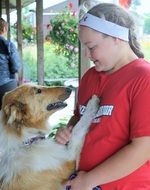 Collie dog and girl