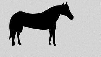drawn black horse silhouette on a grey background
