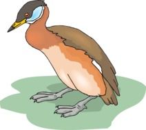 Bird Duck drawing