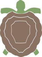 graphic image of a turtle in detail