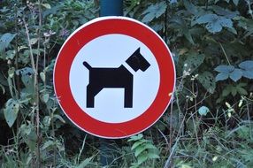Public Sign Dog