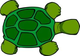 Turtle Green cartoon drawing