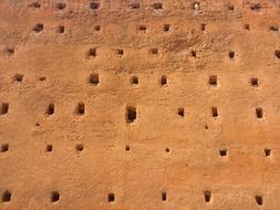 birdhouses in the yellow sand