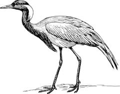 Illustration of crane