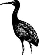 black ibis pattern on a white background