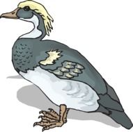 painted blue duck on a white background