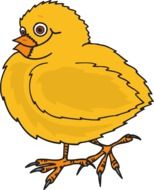 child drawing of chicken