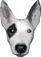 Hound Pet