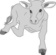 cattle as a graphic image