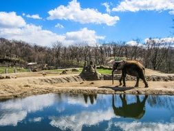 landscape of elephants in the cage at the zoo