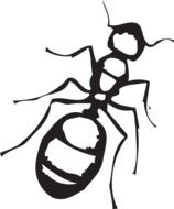 Ant, Top View, black and white illustration