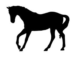 contour of a black horse on a white background