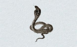 Cobra Snake as a drawing