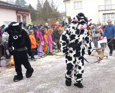 people in animal costumes at carnival at Shrovetide