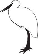 drawing of a white stork