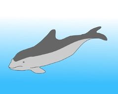 graphic image of a bright dolphin