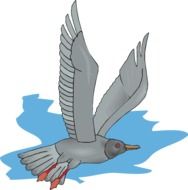 Sea-Gull Flying drawing