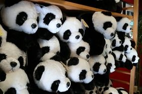 panda Plush Toy