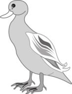 Gray Bird Duck drawing