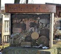 insecten hotel