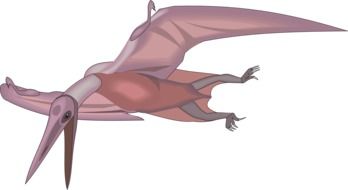 graphic image of a large flying dinosaur