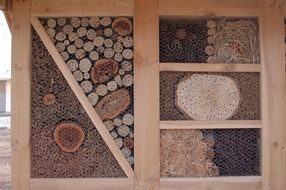 Bees Insect Beekeeper Beehive