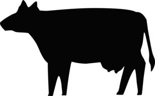 Cow Silhouette drawing