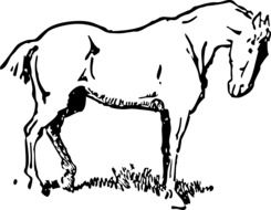 Horse drawing