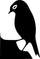 isolated black silhouette of a wild bird