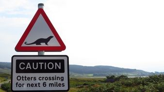 caution otter Road Sign