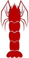 red shrimp on a white background