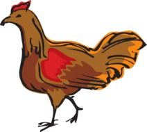 Brown and Red Walking Chicken, illustration