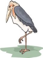 painted stork on one leg