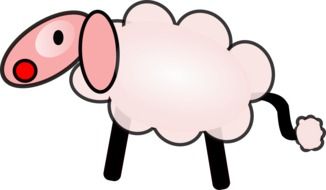 Sheep Wool Animal