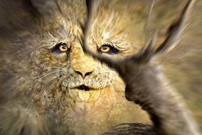 lion head on blurry picture
