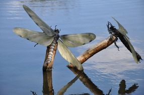Lake Artificial Insects
