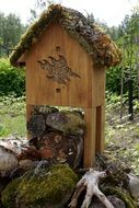 Insects Nesting