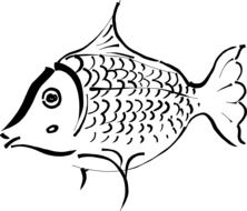 Black and white drawing of the Chinese fish clipart